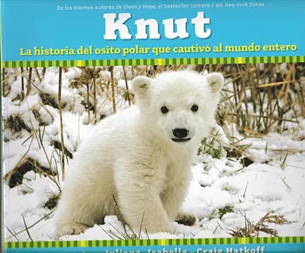 Knut